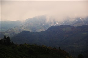 雾色山村
