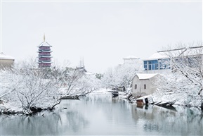 琼枝玉河