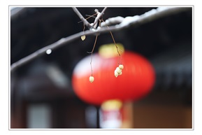 古镇雪韵
