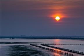 朝霞出平湖