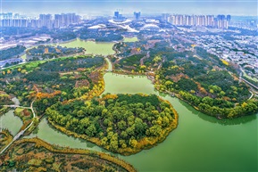 《森林公园湿地》（4）