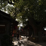 相约古村口