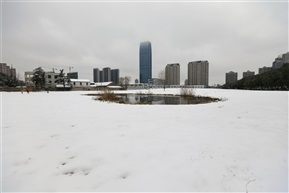 江南春雪