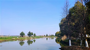 潭镜