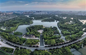 《森林公园》