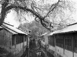 水乡雪韵