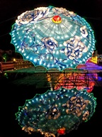 旅游节……灯会