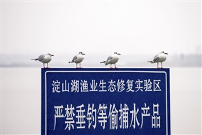 “哨兵”