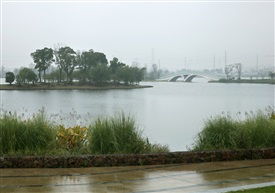 烟雨白鹭湾