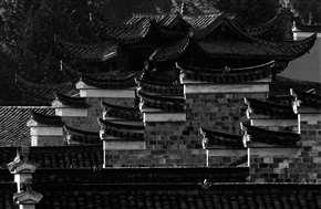 12年赴浙江江山建德叶采风（125）