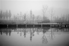 晨