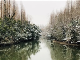 雪色水岸