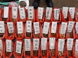 你懂的C