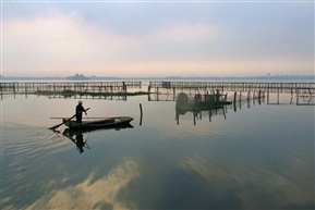 淀山湖晨曦