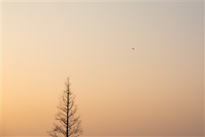 黄昏的天空