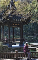 回忆、未来