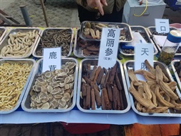 你懂的j