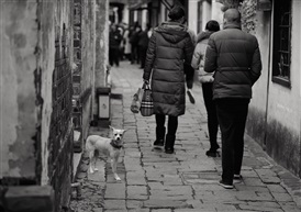青石板路