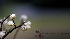 雨水
