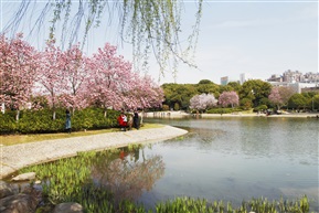 春天里