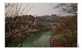梅花庵