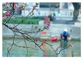 《春天里》