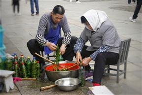 阿婆菜
