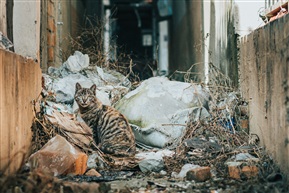 淀山湖一角