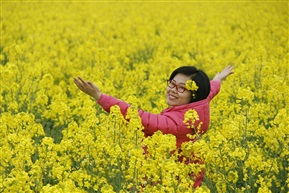 人比花娇