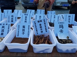 你懂的G