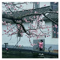 《春天里4》