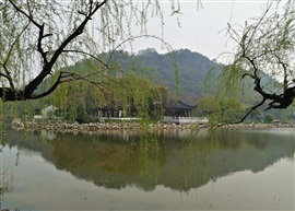 春到亭林园