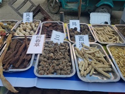 你懂的k