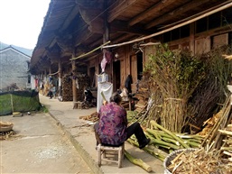 排屋