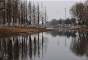 树4-1