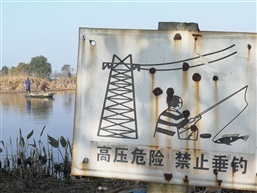 鱼
