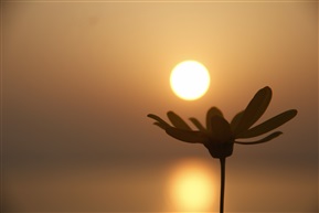 淀山湖日落1