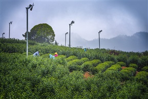 《天姥山采风》（8）