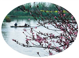 《春天里》