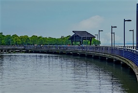 阳澄湖一角
