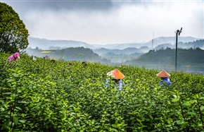 《天姥山采风》《16》