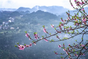 《天姥山采风》（7）