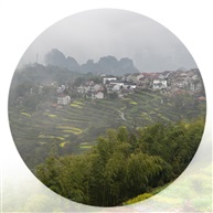 风景如画