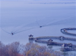 《阳澄春色》