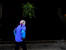 《古镇阿婆》