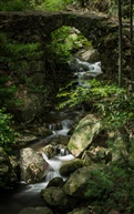 小桥流水