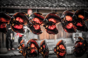 鱼干