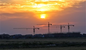 夕阳红