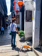     巴城古镇街景
