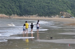 看海